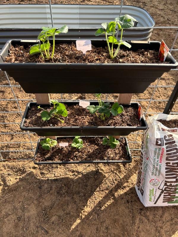 Wallgarden Original 5 Pot Vertical Garden Wall Kit Vertical Gardens