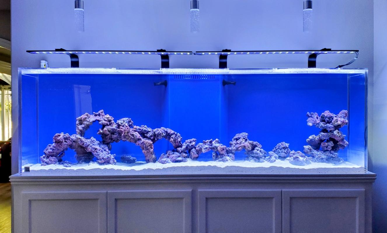 50 gallon acrylic fish tanks for sale