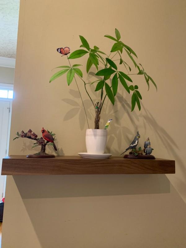 Walnut Floating Shelf with Hidden Bracket | Ultra Shelf