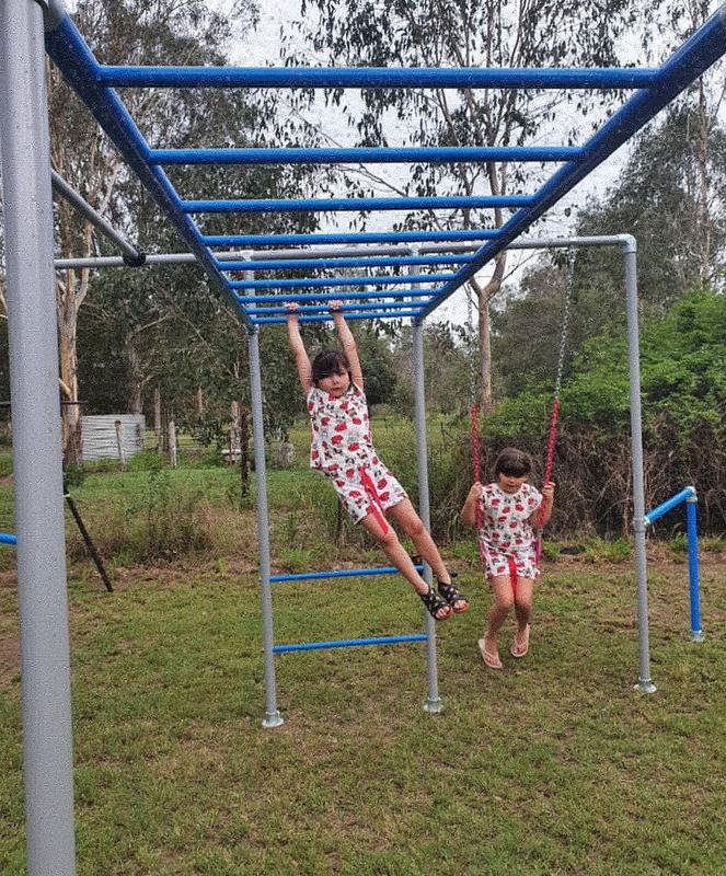 The Lemur Funky Monkey Bar & Swing Frame Funky Monkey Bars