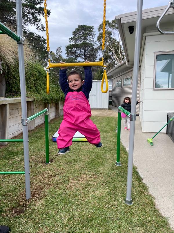 The Orangutan Funky Monkey Bar & Swing Frame – Funky Monkey Bars