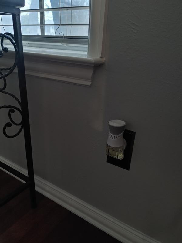 Warm Spice Plugin Refill with Cedar Fir and Eucalyptus fits Air Wick