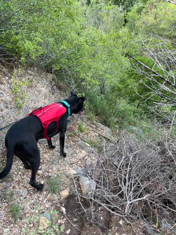 ruffwear water bladder