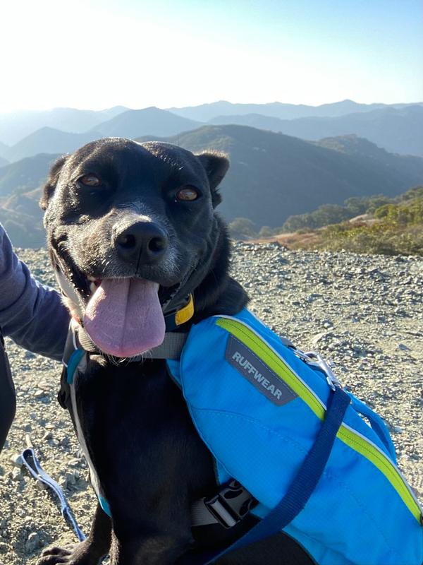 ruffwear singletrak