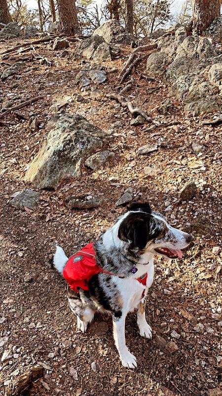 ruffwear singletrak