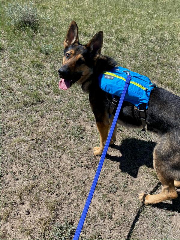 ruffwear water bladder