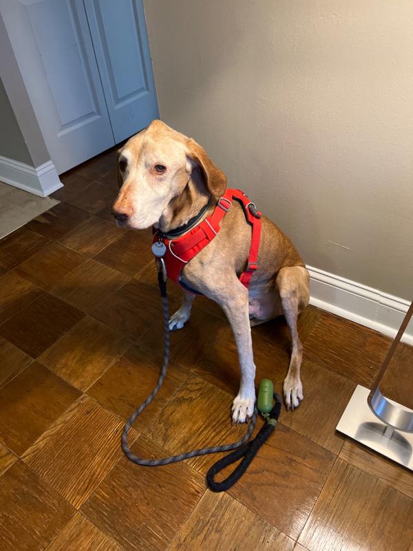 front range harness review