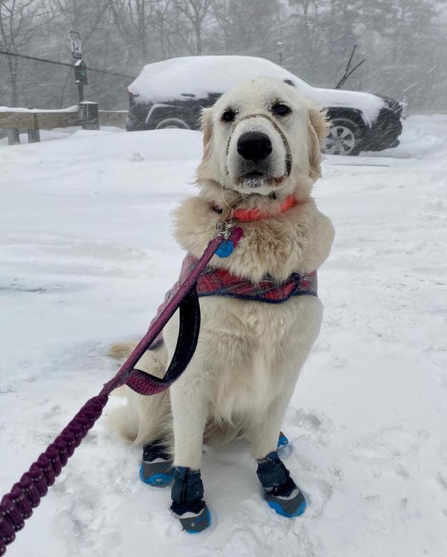 ruffwear winter boots