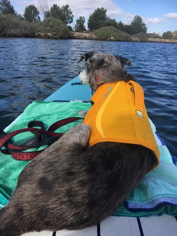 ruffwear pfd