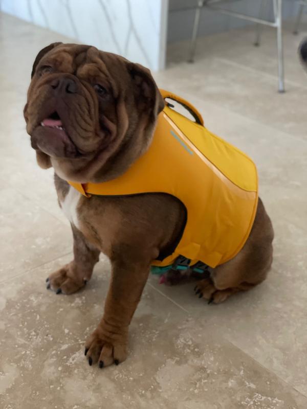 ruffwear flotation device