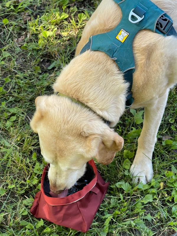 packable dog bowl