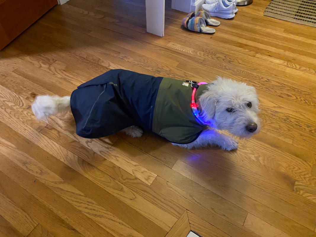 ruffwear raincoat
