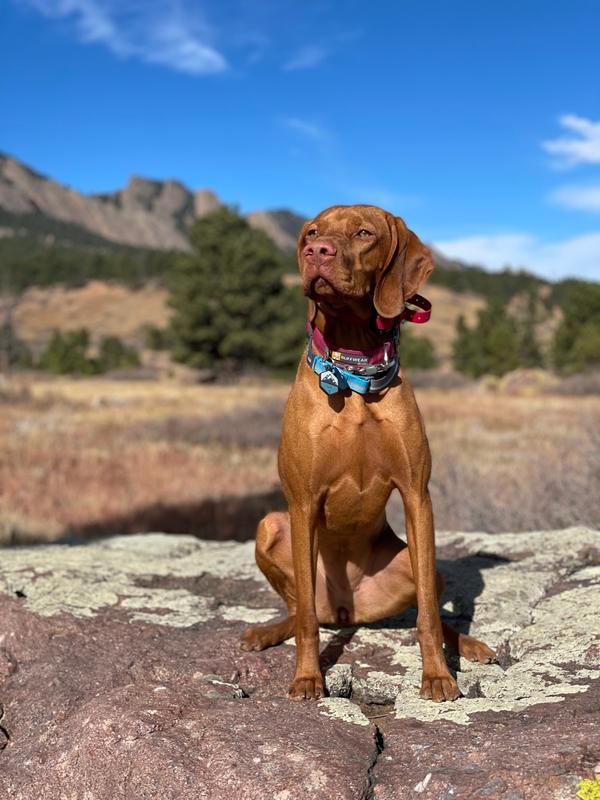 ruffwear quick draw leash