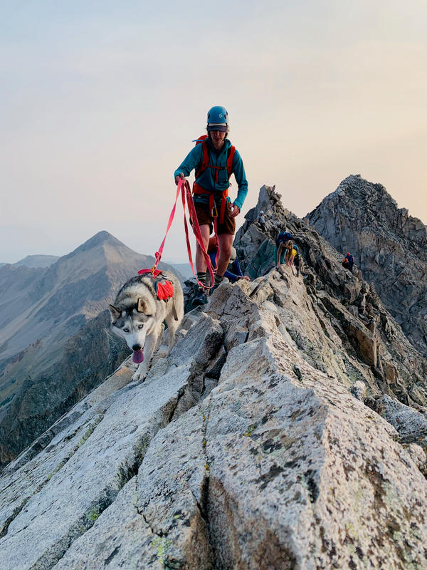 ruffwear webmaster pro harness