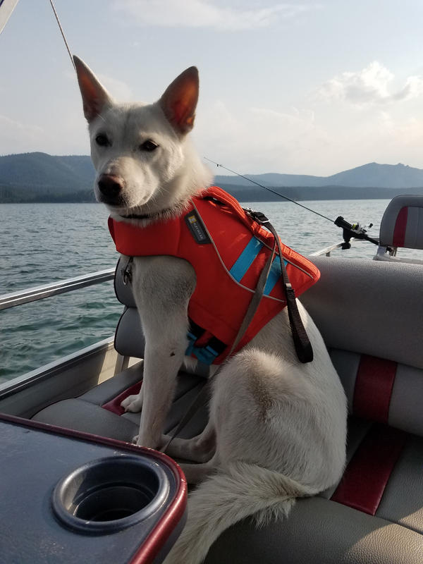 ruffwear float coat sizing