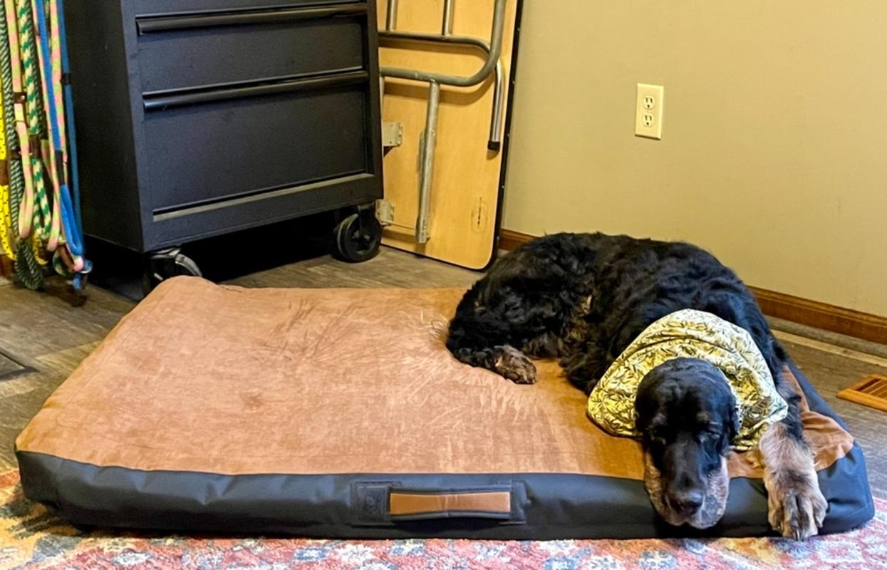ruffwear dog bed