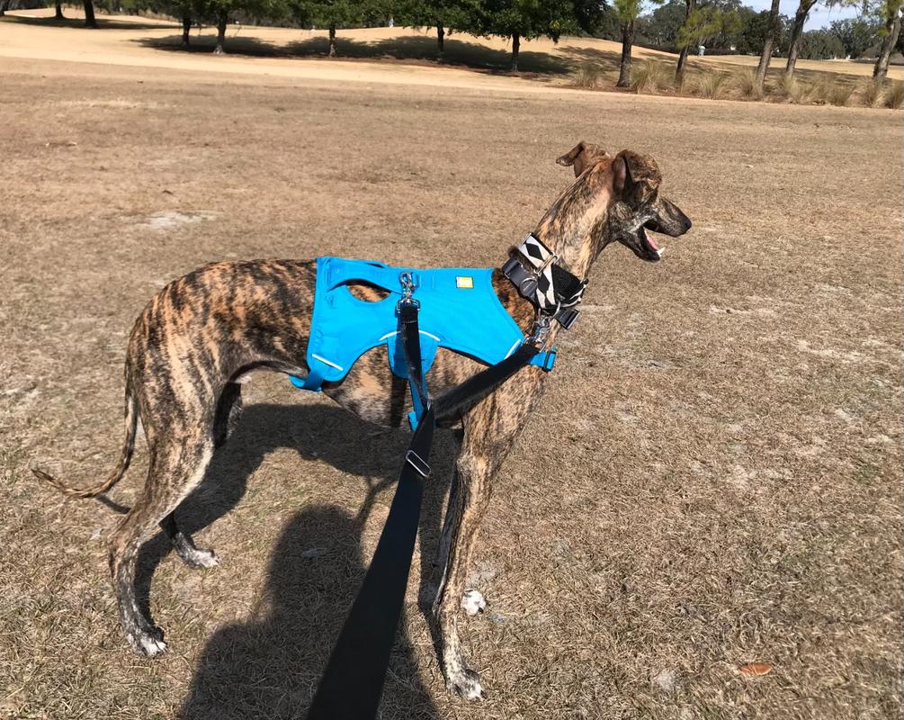 ruffwear escape proof harness