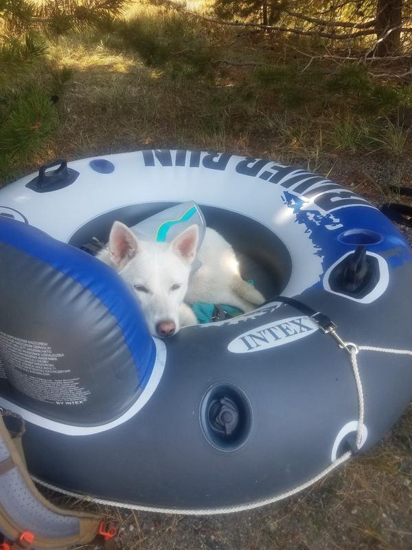 ruffwear swamp cooler review