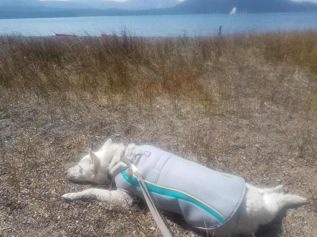 ruffwear swamp cooler review