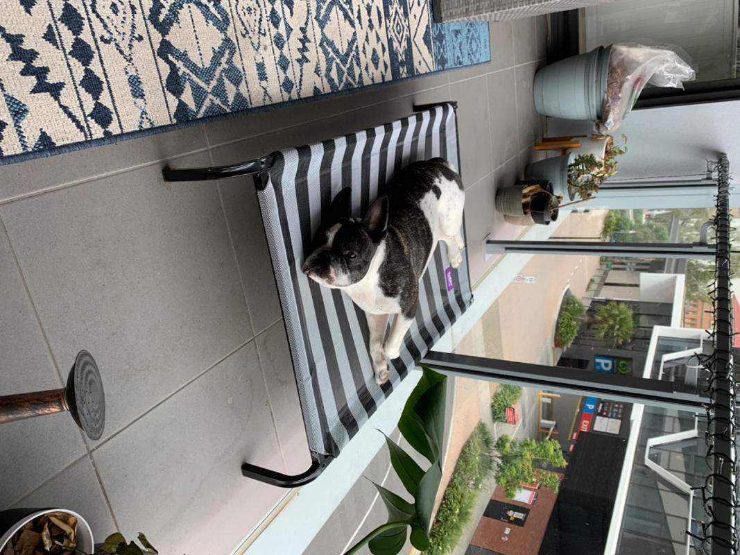 Everyday Outdoor Bed Replacement Cover Kazoo Pet Co