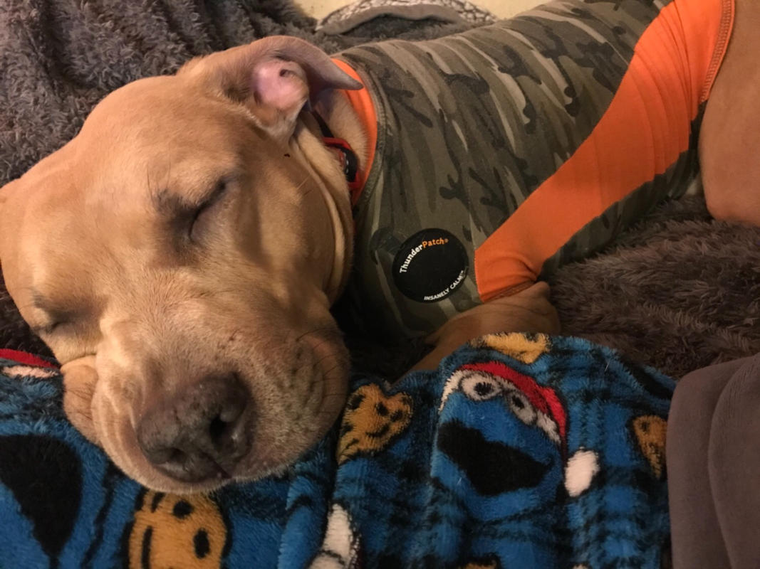 thunder patch thundershirt