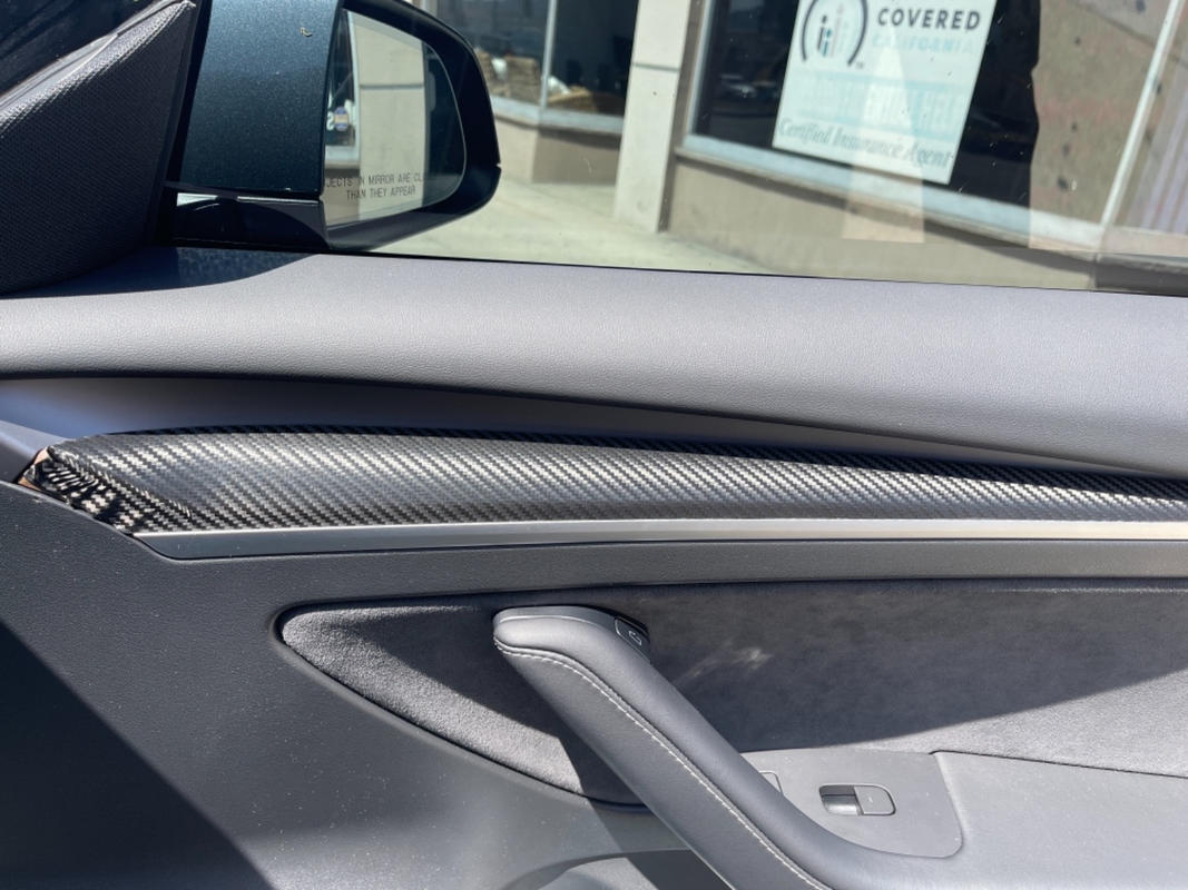 Model 3 / Y Interior Door Trim TESBROS