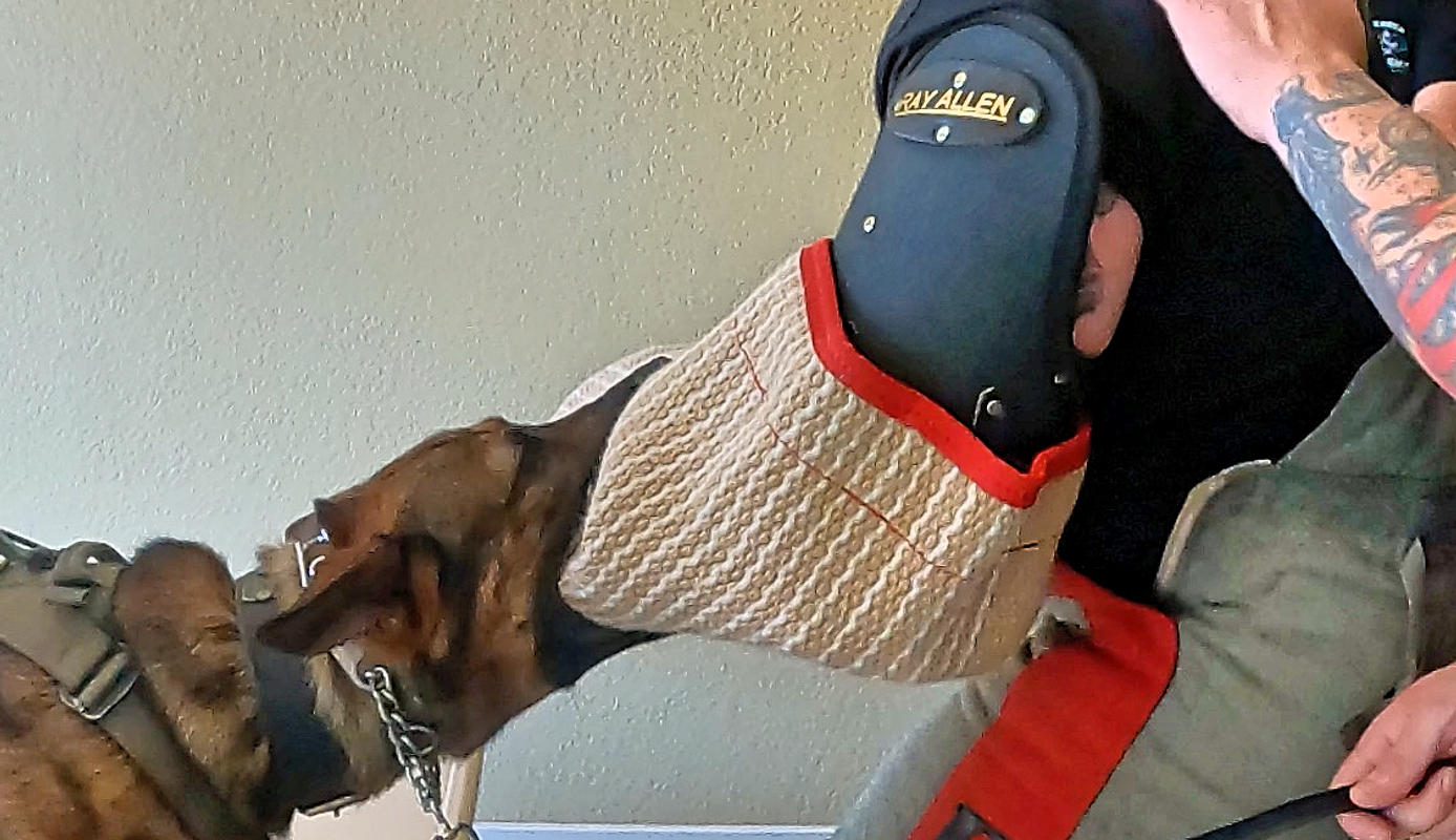 ray allen bite sleeve