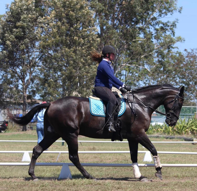 Black Horse - Missy's Bucket