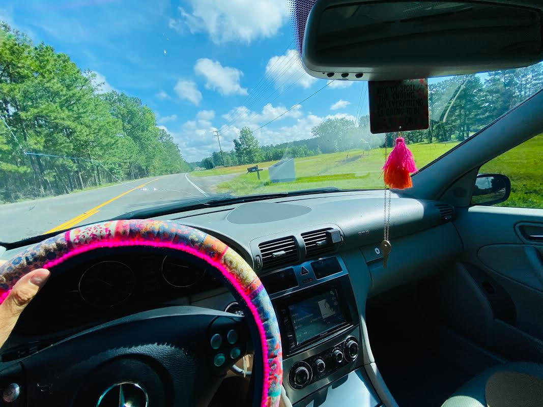 Steering Wheel CoverViolet Natural Life