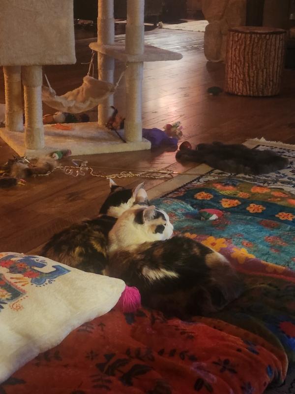 Lounge Bed Roll Multi Patchwork Natural Life