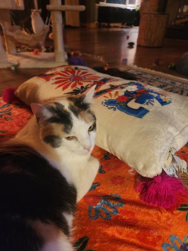 Lounge Bed Roll Multi Patchwork Natural Life