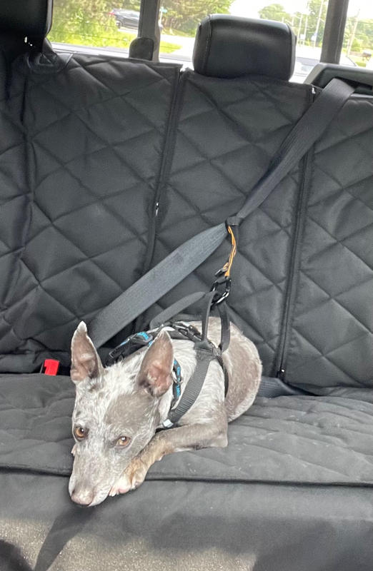 Rear Seat Dog Cover 4Knines®