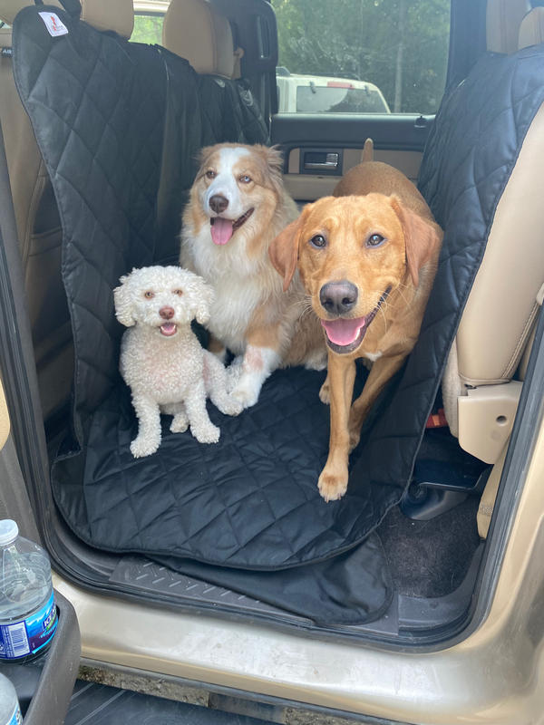 Floor Hammock for Crew Cab Trucks 4Knines®