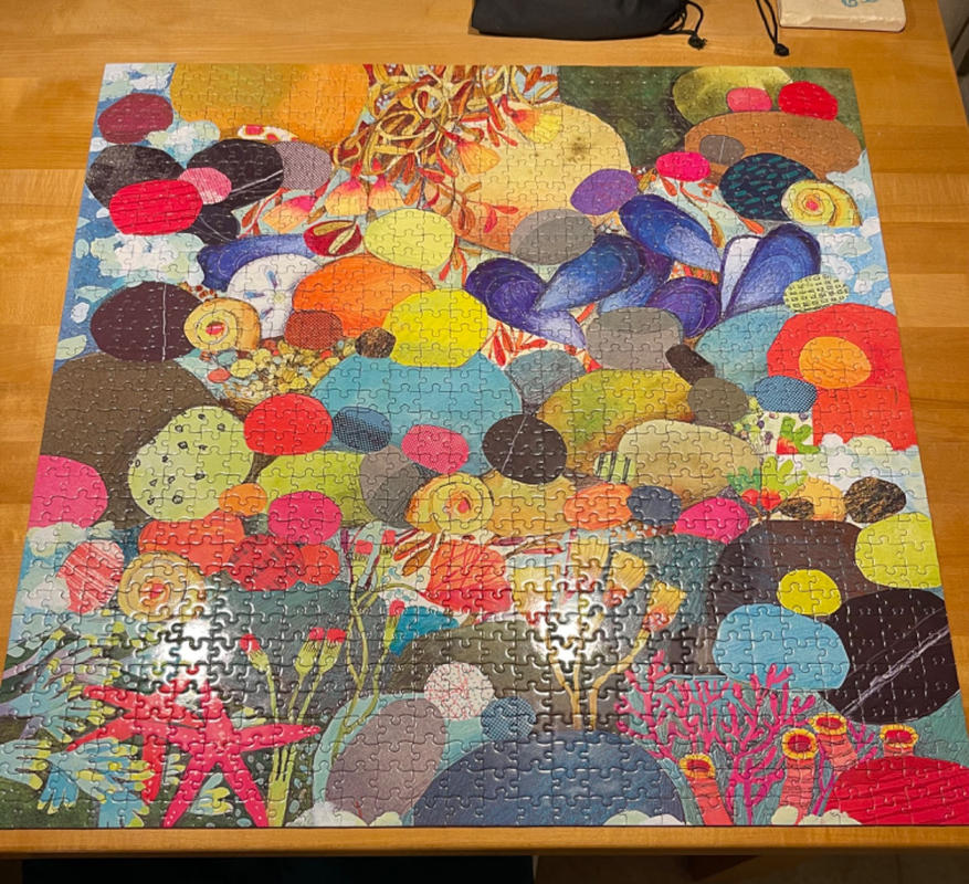 Pebbles by eeBoo 1,000 Piece Jigsaw Puzzle