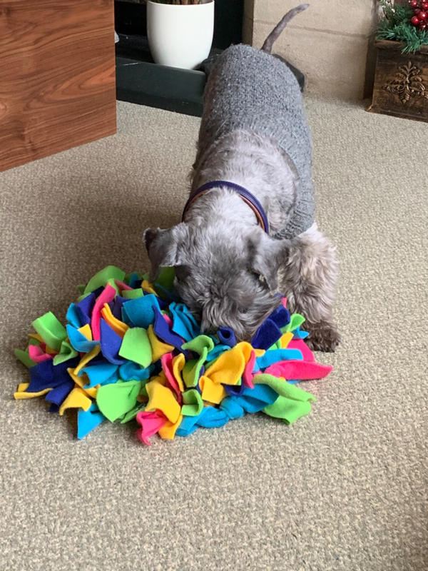 Snuffle Ball Dog Toy - Great Gear And Gifts For Dogs at Home or On-The-Go