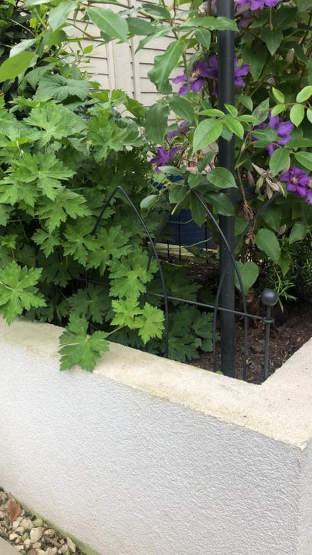 Gothic Lawn Border Edging | Border Edging | Agriframes