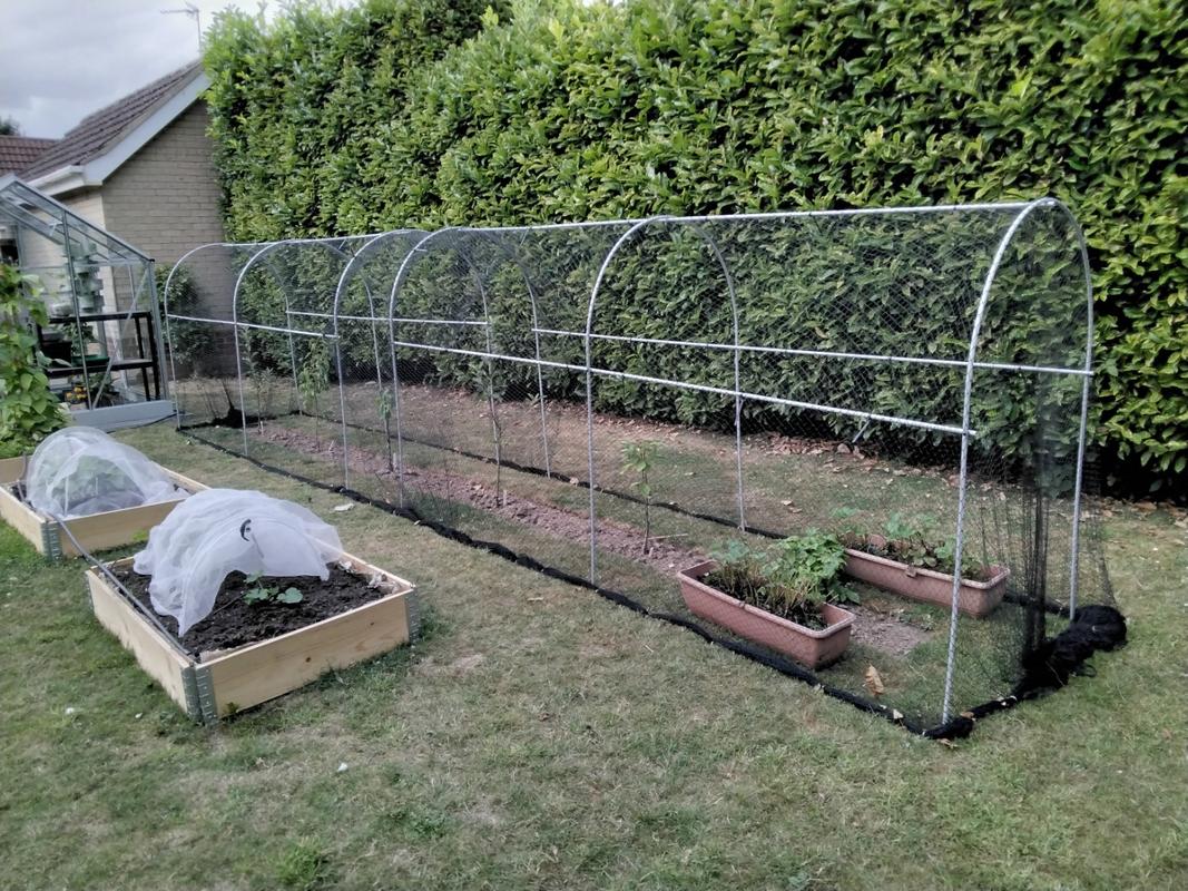 Elegance Long Fruit Cage | Fruit Cages | Agriframes