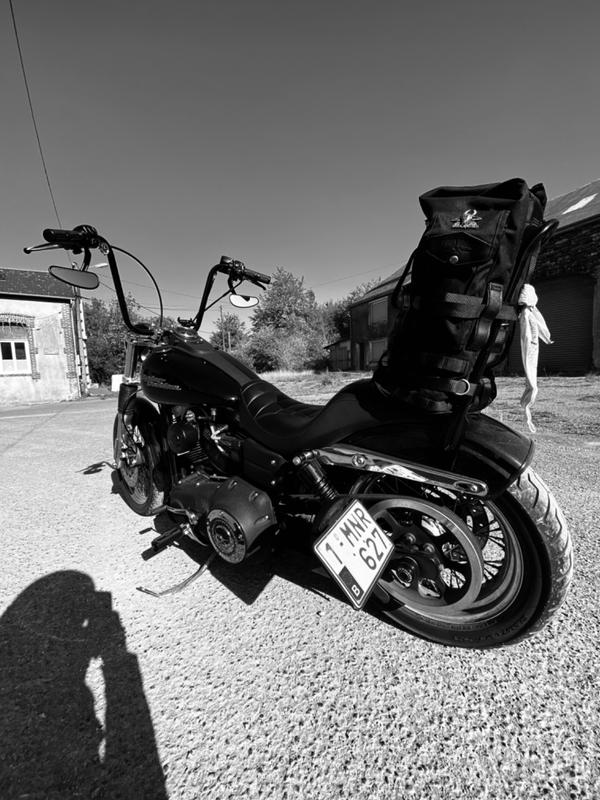 burly brand sissy bar bag