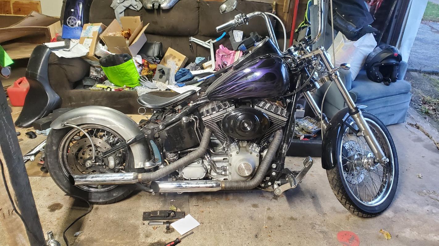 softail rigid struts