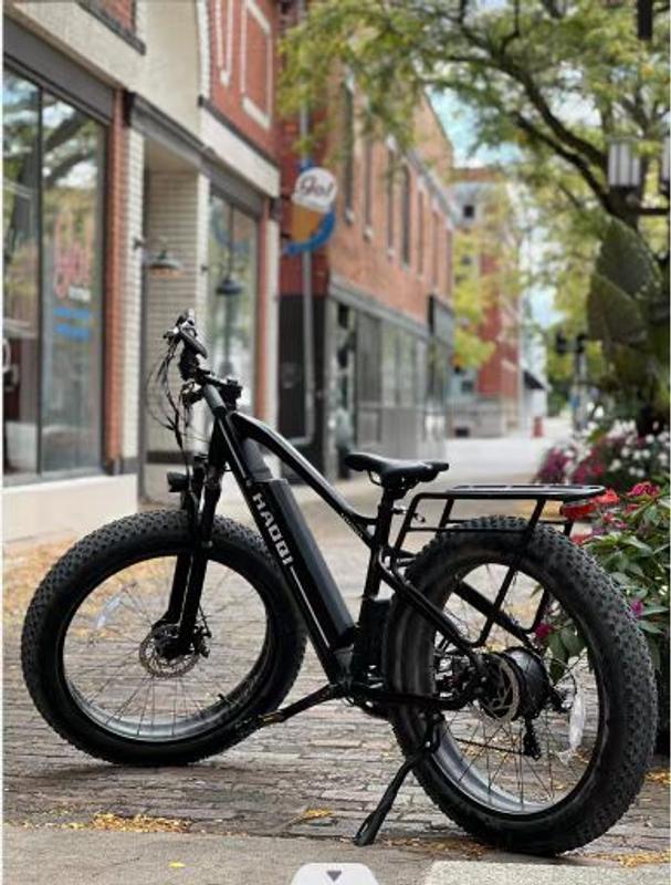 black leopard electric bike