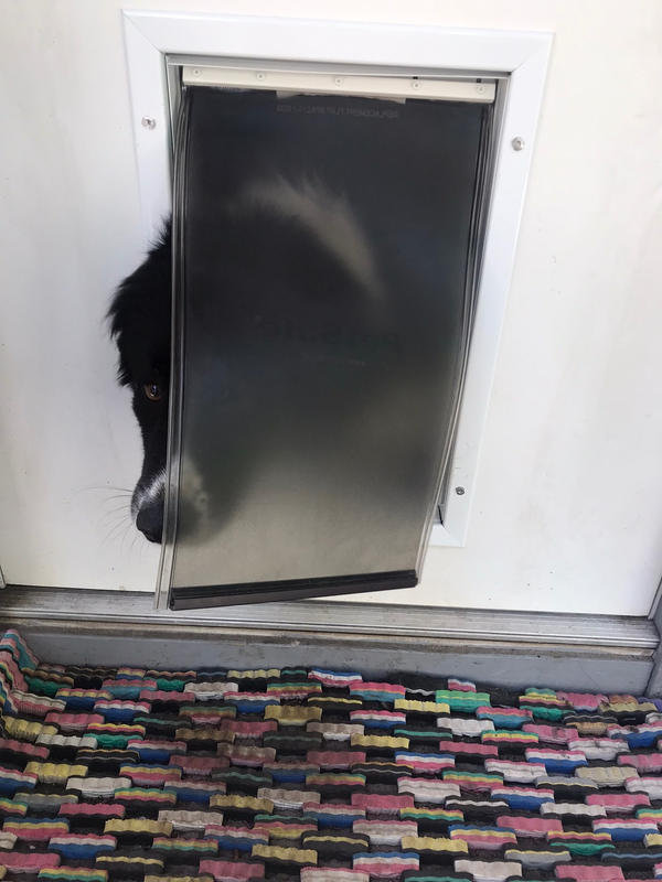 PetSafe Freedom Aluminum Pet Door | For Dogs and Cats of All Sizes