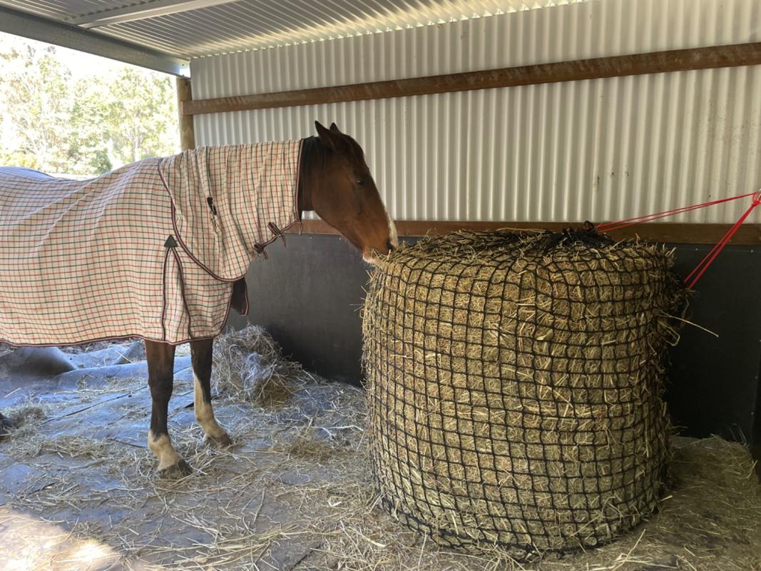 Deluxe Knotless 4x4 Round Bale Horse Slow Feeder Hay Net Aussie Grazers