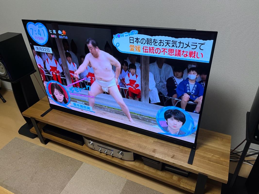 THE LEGS / テレビボード × Black Steel / 2脚セット – KANADEMONO