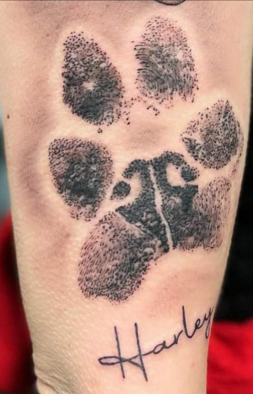 Woman Gets Heartwarming Tattoo To Honor Her Late Dog  The Dodo