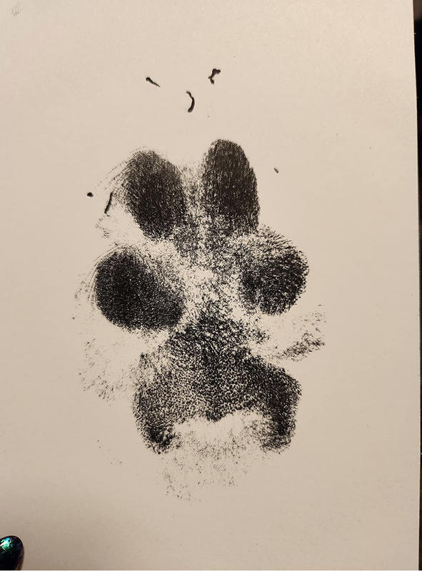 MYPAWLETS-Extra Large Inkless Paw Print Stamp Pad for Dog &Paw Print  Frame,Cat Dog Paw Print Kit,2 Clean Touch Ink Pads,Pet Paw Print Impression  Kit