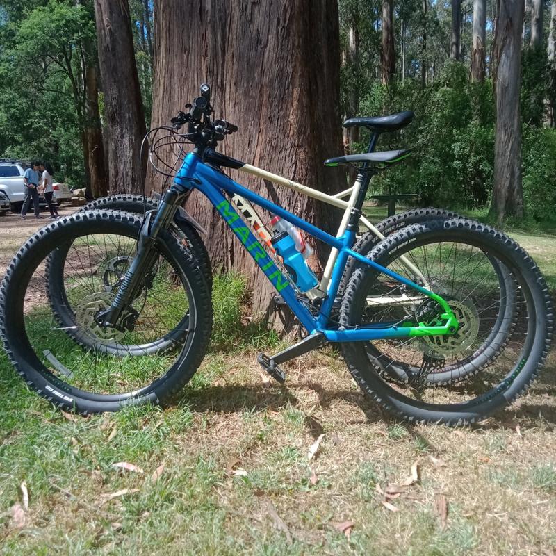 marin hardtail 2021