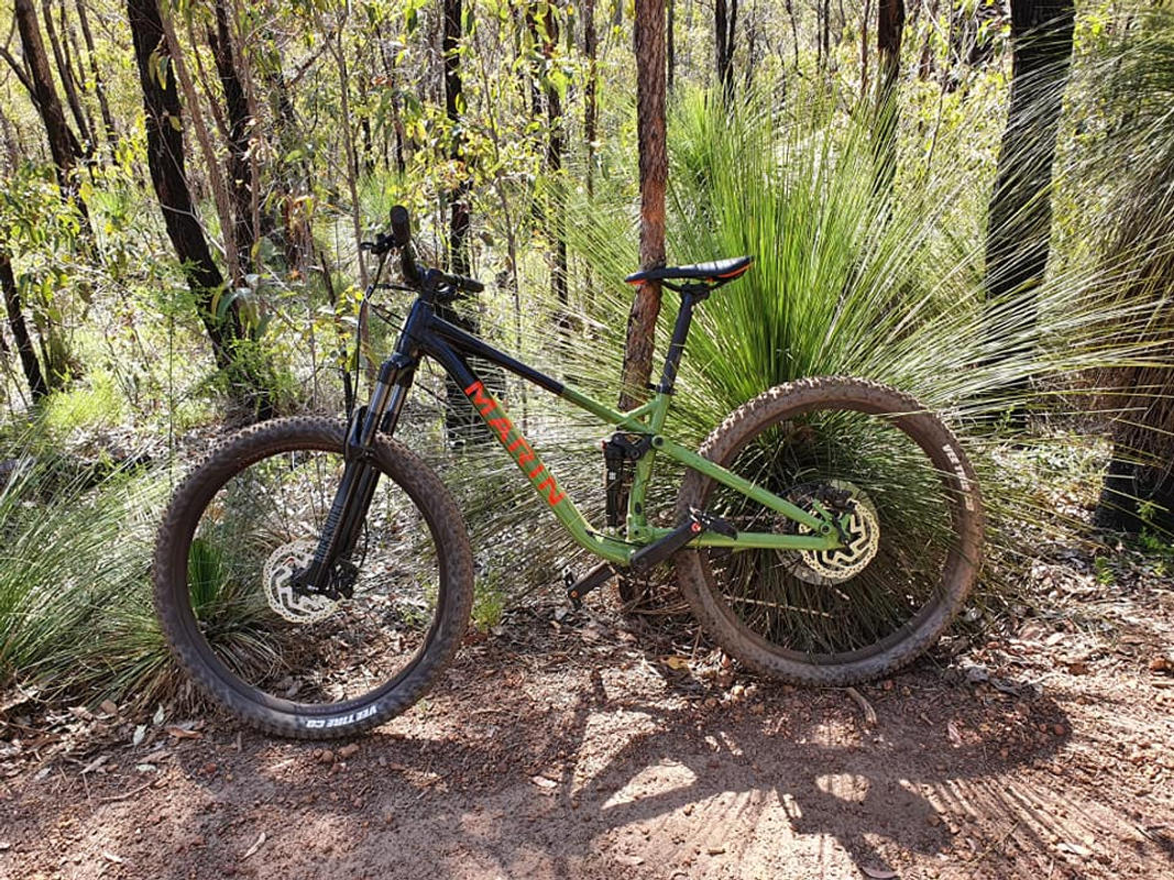 marin rift zone 27.5