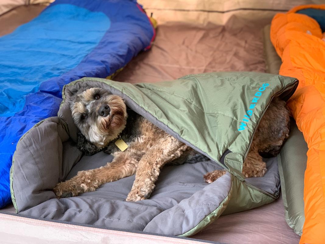 Sleeping Bag Wilderdog