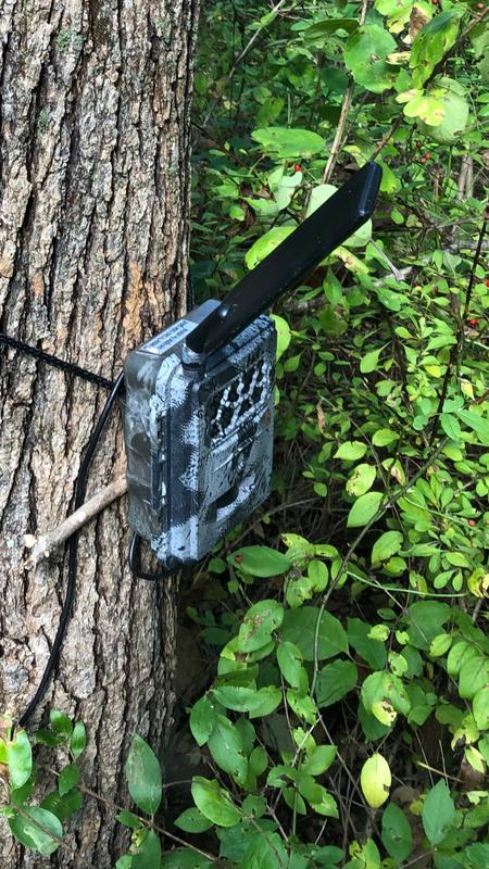 Spartan Flex Antenna | Cellular Trail Camera Gear – Spartan Camera