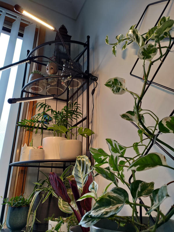Dastrues 30 cm Full Spectrum LED Grow Light Indoor Garden Plant Grün Kreative Lichter Röhren EU Plug 